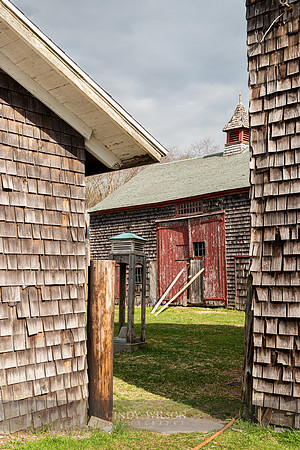 Barnyard