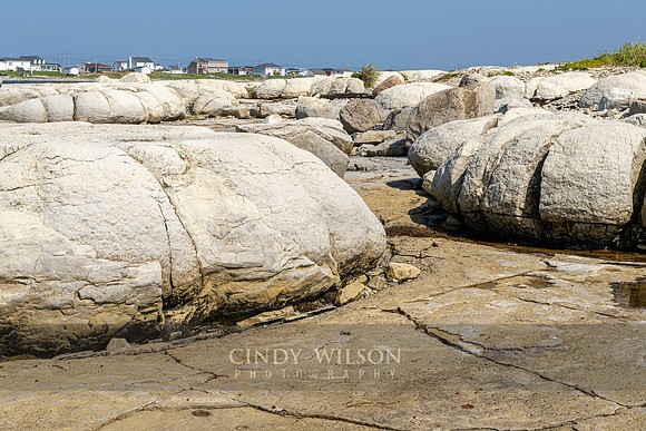 Thrombolites, Flower's Cove