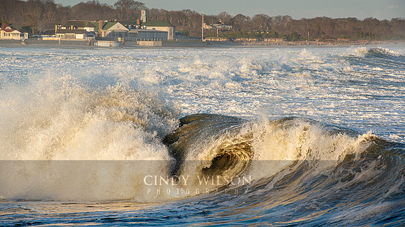 Snarl, Narragansett