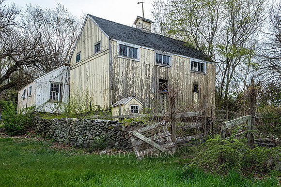 Yellow Barn, Saunderstown 2020