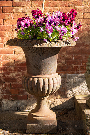 Flowers, Wickford, RI