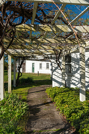Arbor, Wickford, RI