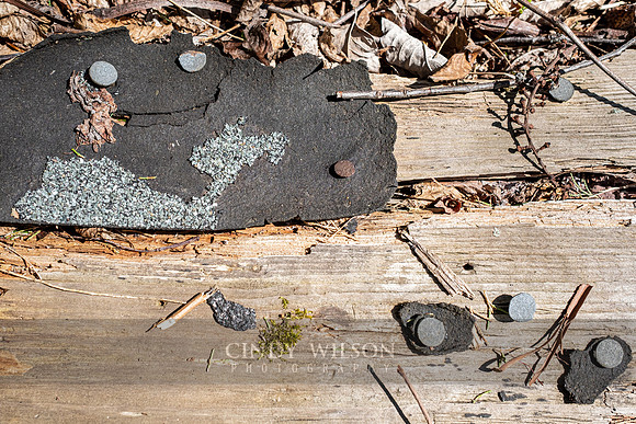 Shingle Smile