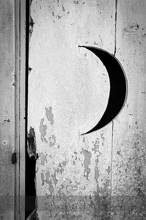 Outhouse Door