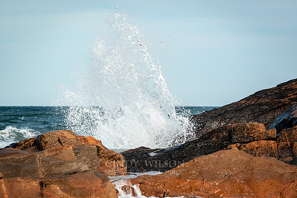 Splash! Bass Rock