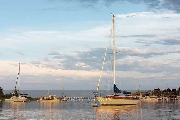 Harbor Magic
