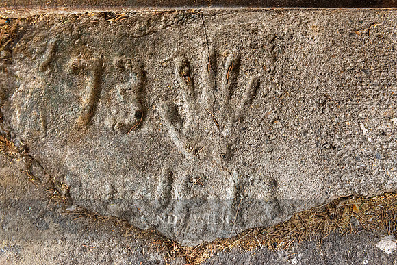 73 Hand