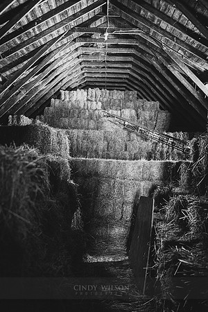 Hayloft II