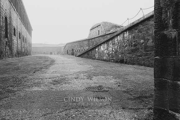 West Gate in the Mist