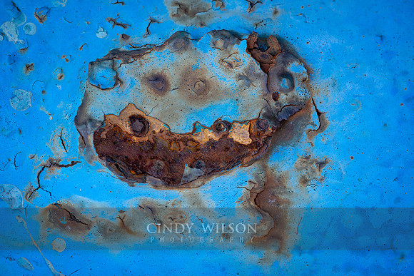 Crab in Blue