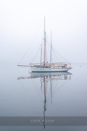 Classics in the Mist