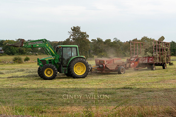 Just Hayin'