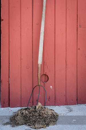 Manure Fork