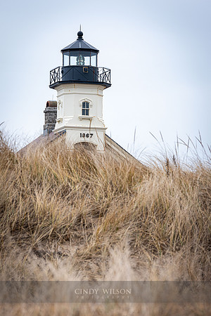 North Light Sentinel