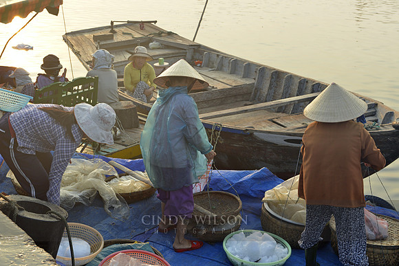 Early Morning Fish Market, Hoi An, Vietnam