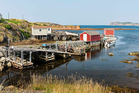 Durrell Harbor, Twillingate