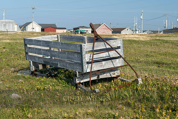 Abandoned Sleigh, Flower's Cove, NL