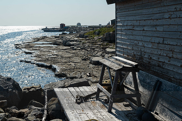 Coastline, Flower's Cove