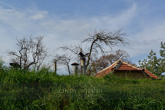 _CHW0276 copy