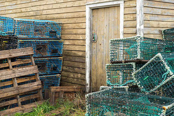 Locked Door, Trout River