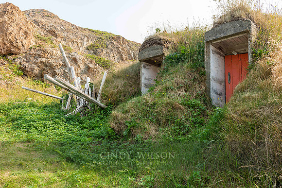 Twin Root Cellars, Twillingate