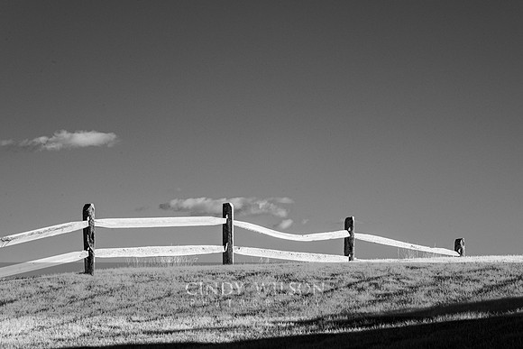 Fence, Infared, Guilford