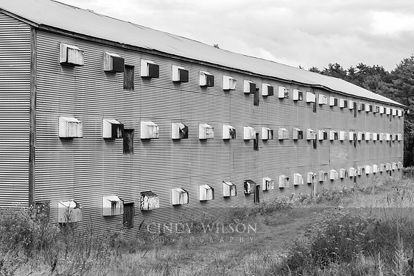 Corrugated Metal Chicken Coup, ME