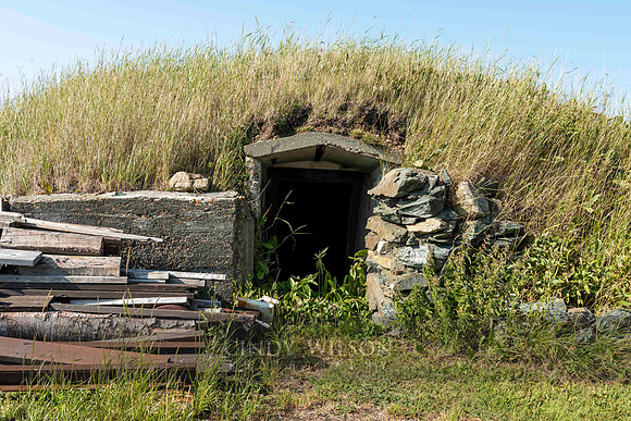 Root Cellar, Twillingate
