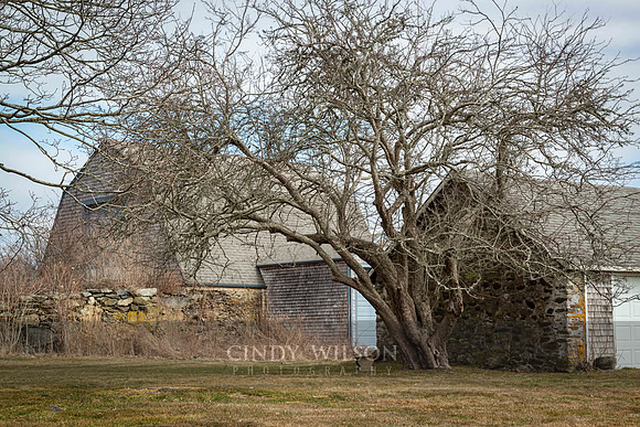 Young Family Barns, Little Compton