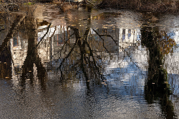 River Reflection