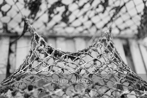 Lobster Netting