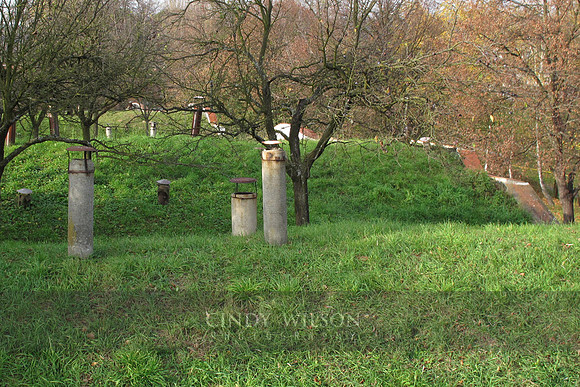 IMG_0304 copy