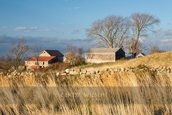 West Side Farm, Block Island
