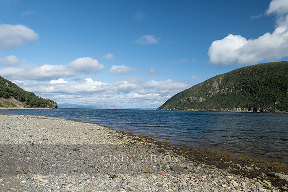 Beach, Lark Cove, 2024