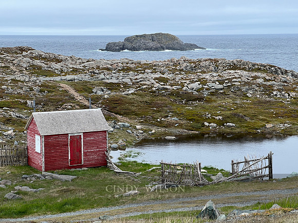 Red Shack, Bonavista