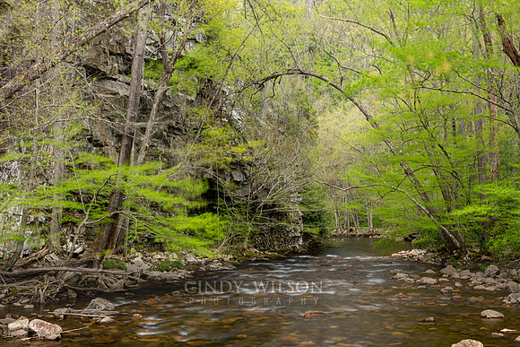 Rushing River, Roan Mountain
