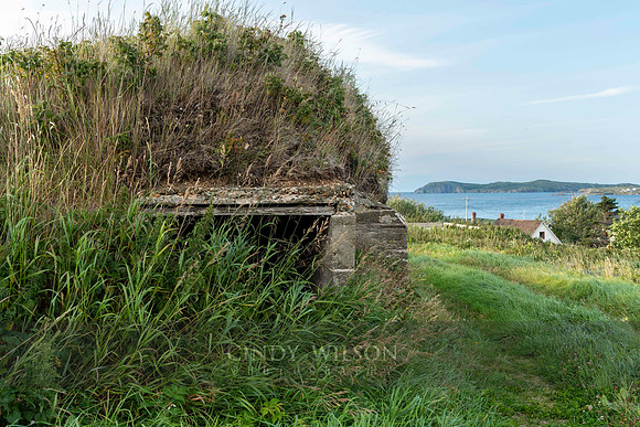 Root Cellar, Twillingate
