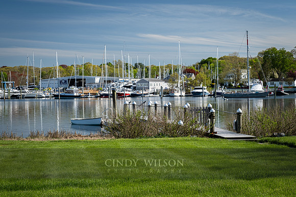 Serene Wickford