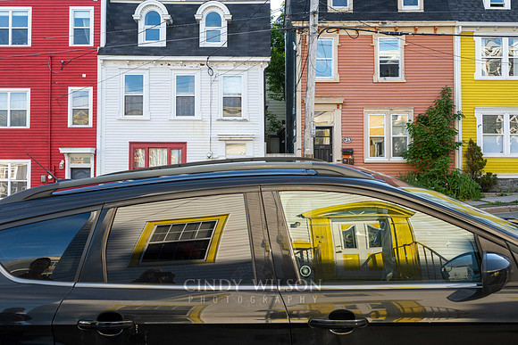 Jellybean Reflections, St. John's