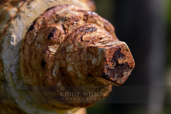 Hydrant Profile