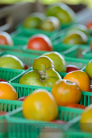 Fruits of their Labor, Arcadia Organic Farm