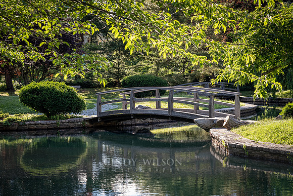 Bridge in the Japanese Garden, Roger Williams Park