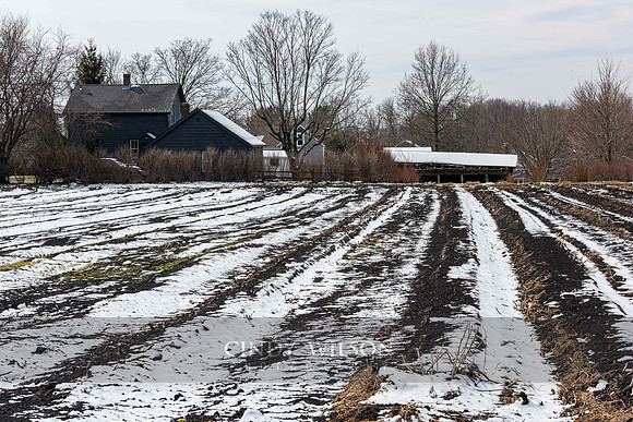Snow Filled Furrows