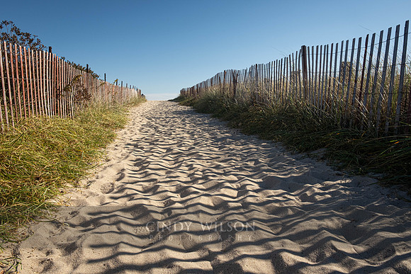 Path to Blue Shutters Beach