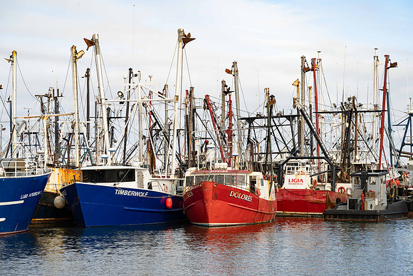 Fishing Fleet, New Bedford