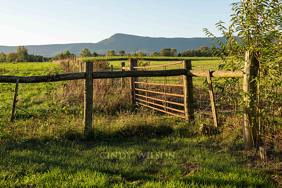 Fencing, Luray, VA