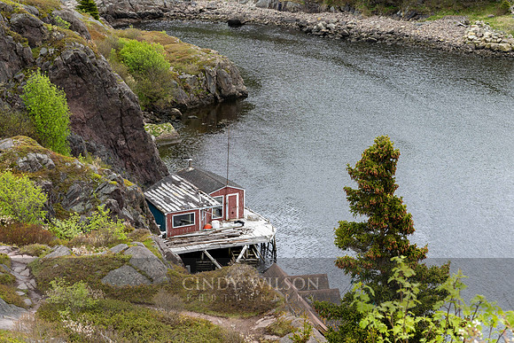 Stage on the Edge, Quidi Vidi