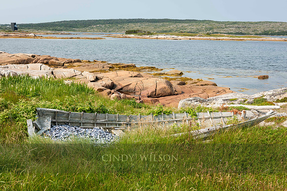 High and Very Dry, Joe Batt's Arm