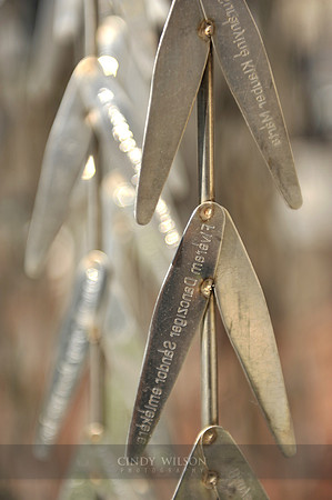 Leaves, Dohany Street Synagogue, Budapest