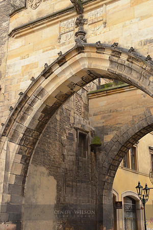 _CHW0191 copy